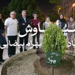 کاشت «سرو سیاوش» به یاد بهرام بیضایی در دانشکده‌ی ادبیات و زبان‌های خارجی دانشگاه کاشان
